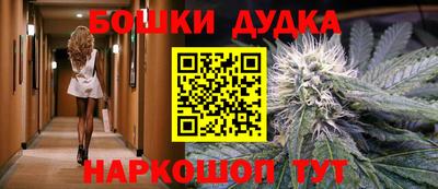 гидра Нарткала