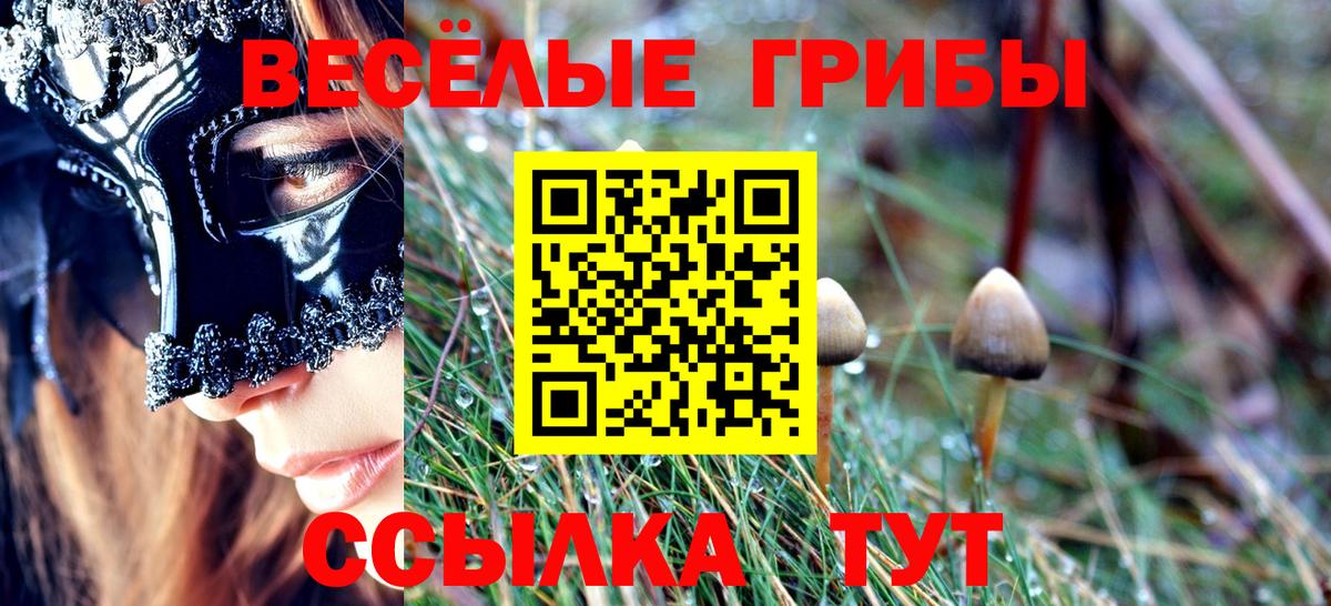 Псилоцибиновые грибы Cubensis Сердобск