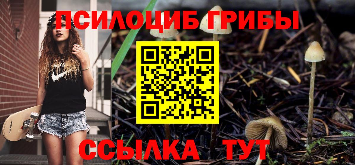 Галлюциногенные грибы Psilocybe  где купить наркоту  Вход с VPN  Сердобск  Галлюциногенные грибы мицелий 